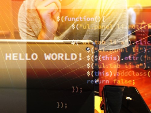 システム開発部の正社員 開発エンジニア インターネット・Webサービス 人材の求人情報イメージ1